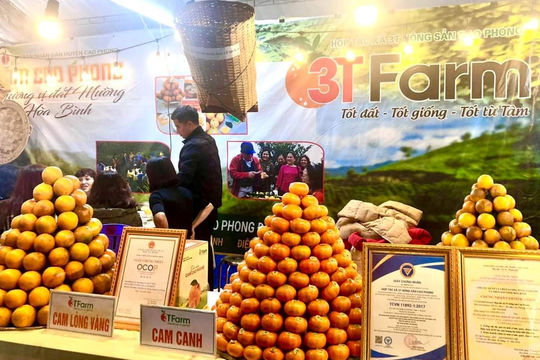 Các hợp tác xã giữ vai trò chủ đạo trong mối liên kết giữa hộ nông dân và doanh nghiệp