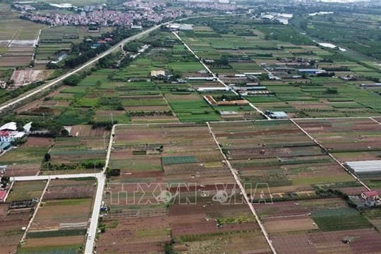 Kiểm kê đất đai năm 2024 trên phạm vi cả nước từ ngày 01/8/2024