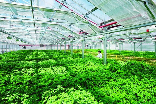 Gỡ “rào cản” để thúc đẩy phát triển nông nghiệp công nghệ cao