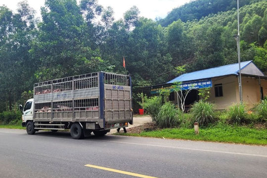 Bắc Kạn: Công trình Trạm kiểm soát liên ngành trên Quốc lộ 3 vẫn chưa hoàn thành