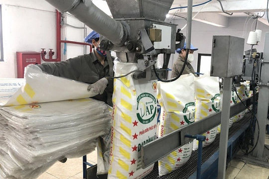Xuất khẩu phân bón ghi nhận nhiều tín hiệu khởi sắc 