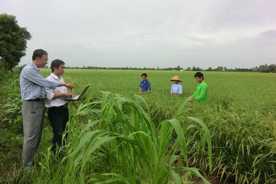 Australia hỗ trợ đổi mới nông nghiệp bền vững tại Việt Nam