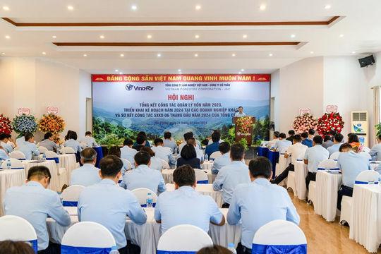 Tăng cường giám sát, tái cơ cấu doanh nghiệp hoạt động chưa hiệu quả