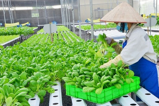 Tạo sự chủ động cho người dân và doanh nghiệp trong việc ứng dụng chuyển đổi số Tạo sự chủ động cho người dân và doanh nghiệp trong việc ứng dụng chuyển đổi số