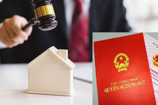 Tháng 8, các huyện ngoại thành của Hà Nội tấp nập đấu giá đất