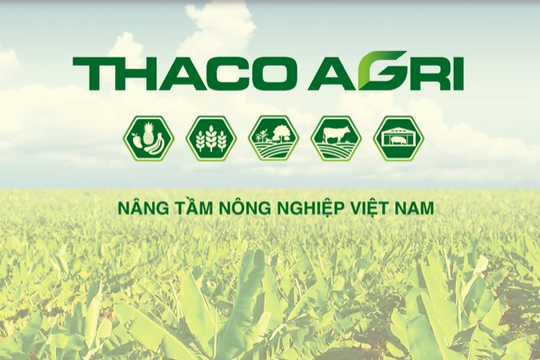 THACO AGRI phát triển lực lượng nhân sự công nghiệp trong nông nghiệp