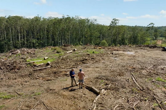 Australia: Nhấn mạnh vai trò của tín chỉ các-bon trong quá trình thực hiện mục tiêu giảm phát thải