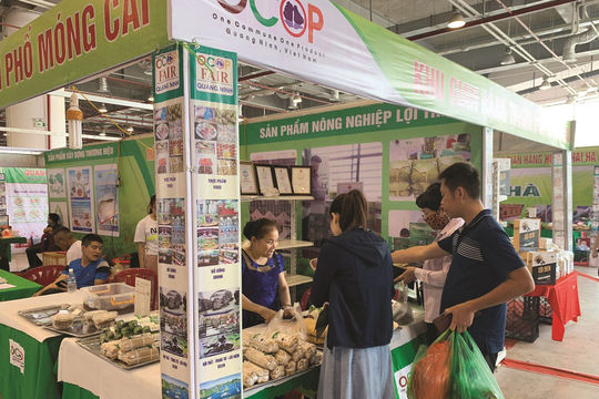 Quảng Ninh nỗ lực mở rộng đầu ra cho các sản phẩm OCOP Quảng Ninh nỗ lực mở rộng đầu ra cho các sản phẩm OCOP