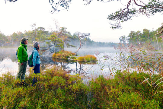 Thụy Điển: Các vườn quốc gia và khu bảo tồn thiên nhiên chưa được quản lý hiệu quả