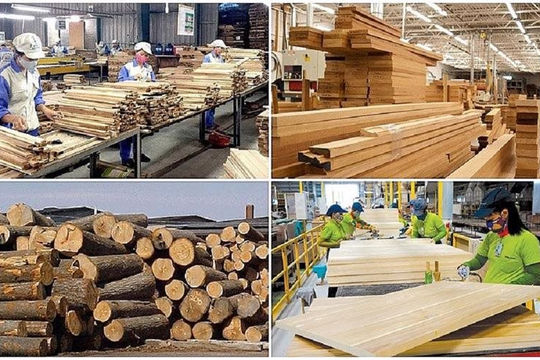 Xuất khẩu đồ gỗ và lâm sản đạt 25 tỷ đô la Mỹ vào năm 2030