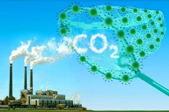 Doanh nghiệp năng lượng trên lộ trình giảm phát thải khí nhà kính