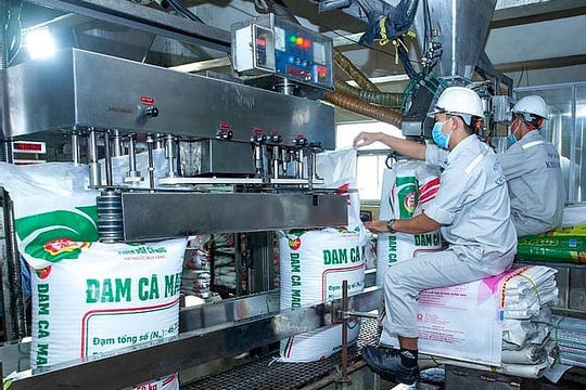 Đánh giá chính xác, đầy đủ tác động việc áp thuế 5% với phân bón