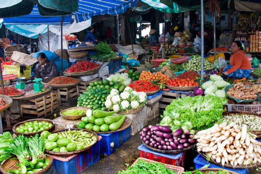 Sản xuất và tiêu dùng trong nước phục hồi