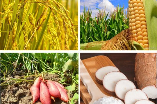 Giá lương thực, thực phẩm tăng tác động đến Chỉ số CPI Giá lương thực, thực phẩm tăng tác động đến Chỉ số CPI