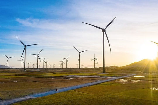 Thành lập Tổ công tác rà soát các vướng mắc pháp lý trong triển khai dự án điện