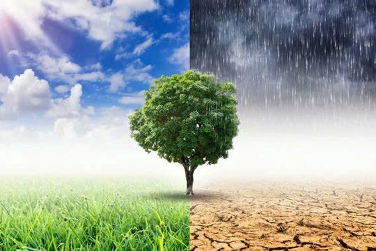 ADB cam kết tài trợ 100 tỷ USD để ứng phó với biến đổi khí hậu