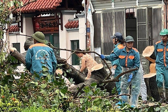 Hỗ trợ khẩn cấp 100 tỷ đồng cho 5 tỉnh khắc phục thiệt hại do bão số 3