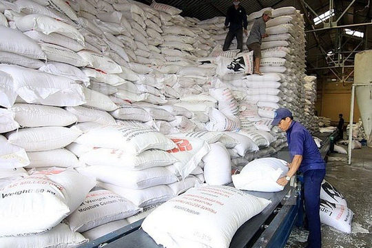 Tiếp tục hỗ trợ 200 tấn gạo cho 14 địa phương bị ảnh hưởng cơn bão số 3