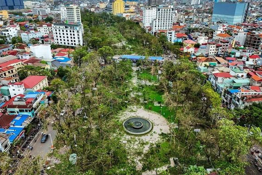 Hải Phòng khẩn trương khắc phục hậu quả của cơn bão số 3