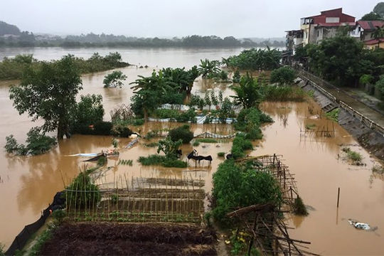 Hỗ trợ khẩn cấp 30 tỷ đồng cho tỉnh Yên Bái khắc phục thiệt hại do bão số 3