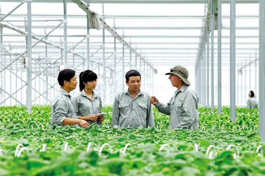 Tiêu chí phân loại hợp tác xã