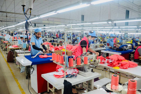 Tuyên Quang: Doanh nghiệp khôi phục sản xuất kinh doanh sau bão lũ