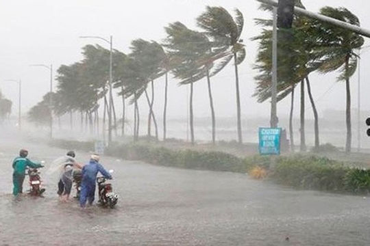 Ngành giáo dục chủ động ứng phó với áp thấp nhiệt đới, có khả năng mạnh lên thành bão