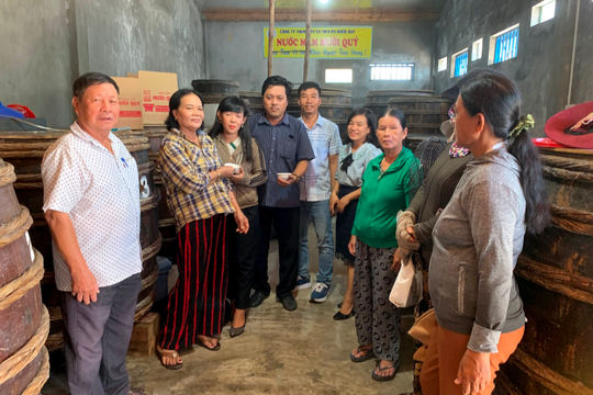 Chính sách hỗ trợ phát triển tổ hợp tác, hợp tác xã, liên hiệp hợp tác xã