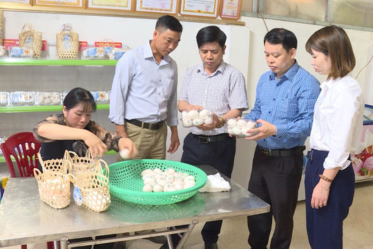 Hợp tác xã Chăn nuôi tổng hợp Đông Xuyên (Tiền Hải – Thái Bình): Giúp nông dân kiếm tiền từ nuôi vịt biển