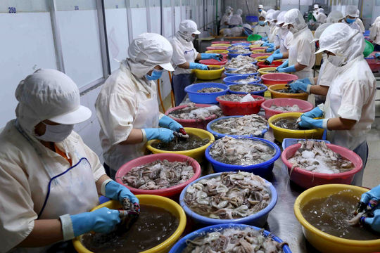 Đón sóng từ thị trường, xuất khẩu thủy sản cần vượt rào cản để bứt phá 