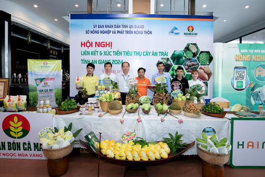 Phân bón Cà Mau tiếp sức cho nông dân đưa trái cây An Giang vươn tầm quốc tế  Phân bón Cà Mau tiếp sức cho nông dân đưa trái cây An Giang vươn tầm quốc tế