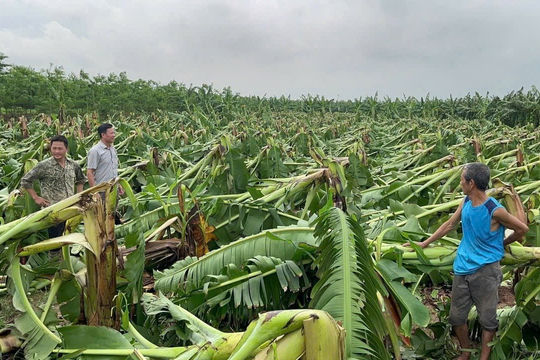 Đảm bảo thông thoáng, minh bạch trong triển khai hỗ trợ sau bão lũ Đảm bảo thông thoáng, minh bạch trong triển khai hỗ trợ sau bão lũ