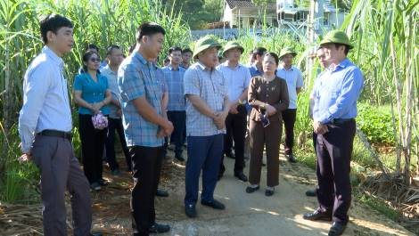 Lạng Sơn đốc thúc tiến độ thực hiện các chương trình mục tiêu quốc gia 