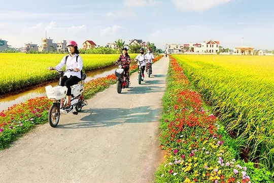 Phấn đấu đến năm 2025, Bình Định có 85% số xã đạt chuẩn nông thôn mới