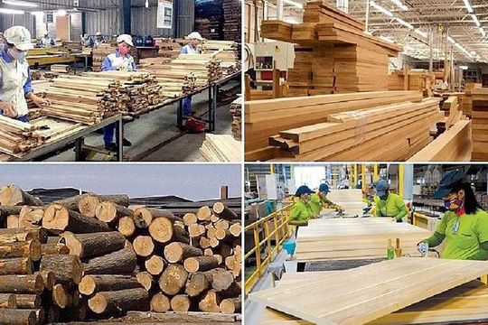 Sửa đổi quy định Hệ thống bảo đảm gỗ hợp pháp Việt Nam