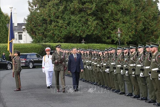 Tổng thống Ireland chủ trì Lễ đón chính thức Tổng Bí thư, Chủ tịch nước Tô Lâm