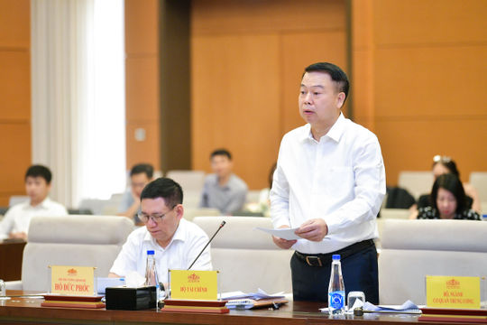 Sẽ sửa đổi, bổ sung quy định xử lý vi phạm pháp luật về kiểm toán độc lập