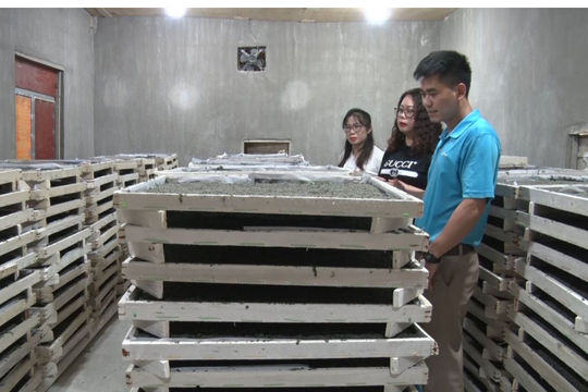 HTX Nông nghiệp 118 nơi giúp nhiều hộ dân  vùng biên giới có công ăn việc làm