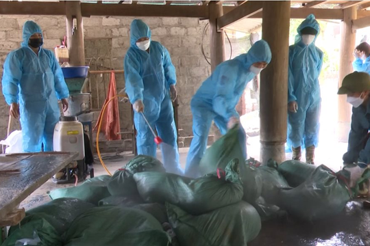 Tăng cường kiểm soát, phòng, chống bệnh cúm gia cầm, tránh nguy cơ lây lan diện rộng Tăng cường kiểm soát, phòng, chống bệnh cúm gia cầm, tránh nguy cơ lây lan diện rộng