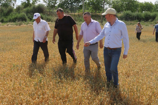 Moldova: Thiếu sót lớn trong Báo cáo tài chính của Bộ Nông nghiệp và Công nghiệp thực phẩm Moldova: Thiếu sót lớn trong Báo cáo tài chính của Bộ Nông nghiệp và Công nghiệp thực phẩm