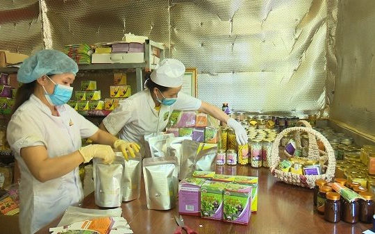 Hợp tác xã Nông nghiệp Tân Thành (Bắc Kạn): Liên kết sản xuất đa dạng hóa sản phẩm theo yêu cầu thị trường Hợp tác xã Nông nghiệp Tân Thành (Bắc Kạn): Liên kết sản xuất đa dạng hóa sản phẩm theo yêu cầu thị trường