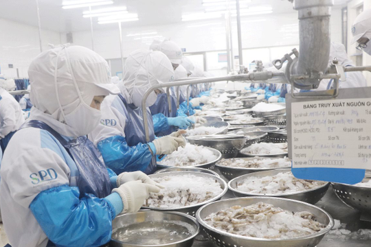 Đà Nẵng: Kim ngạch xuất khẩu 9 tháng năm 2024 ước đạt 1,454 tỷ USD Đà Nẵng: Kim ngạch xuất khẩu 9 tháng năm 2024 ước đạt 1,454 tỷ USD