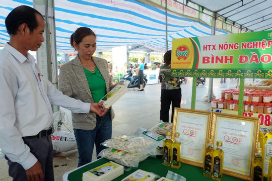 Quảng Nam: Doanh thu bình quân của mỗi hợp tác xã đạt hơn 3 tỷ đồng/năm