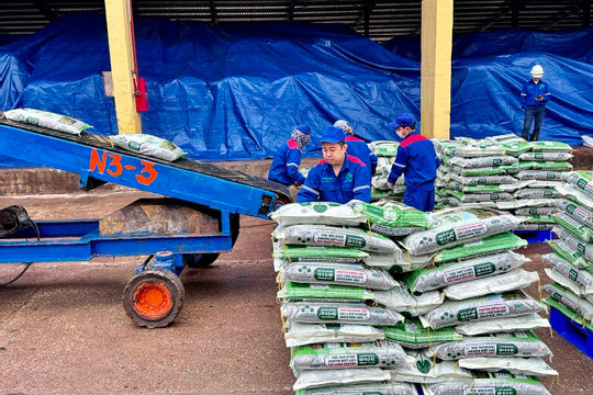 Xuất nhập khẩu phân bón 9 tháng: Nhập khẩu giảm, xuất khẩu tăng