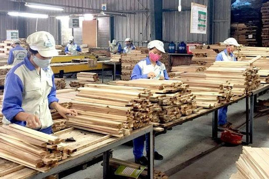 Bình Định: Doanh nghiệp “dồn sức” hoàn thành các chỉ tiêu trong những tháng cuối năm