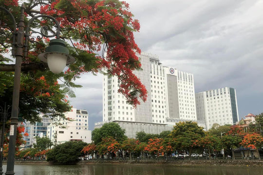 Nâng cao hiệu lực, hiệu quả thi hành Luật Đấu thầu Nâng cao hiệu lực, hiệu quả thi hành Luật Đấu thầu