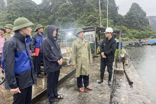 Không để bị động, bất ngờ trong ứng phó với bão số 7