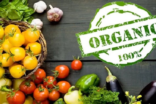 Siết quy định cấp chứng nhận sản phẩm hữu cơ nhập khẩu vào EU