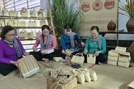 Khởi nghiệp xanh - xu hướng phát triển bền vững