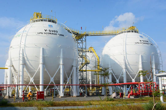 Cà Mau triển khai nhiều giải pháp ứng phó với biến đổi khí hậu